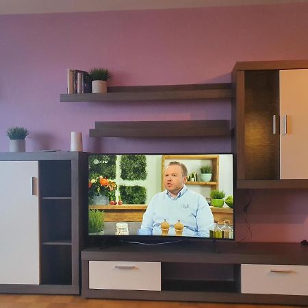 شقة Penthouse "Marc Aurel" - Greatview, Wifi & Netflix شفاينفورت المظهر الخارجي الصورة