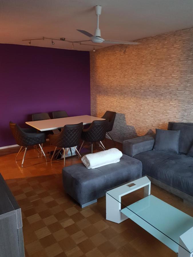 شقة Penthouse "Marc Aurel" - Greatview, Wifi & Netflix شفاينفورت المظهر الخارجي الصورة